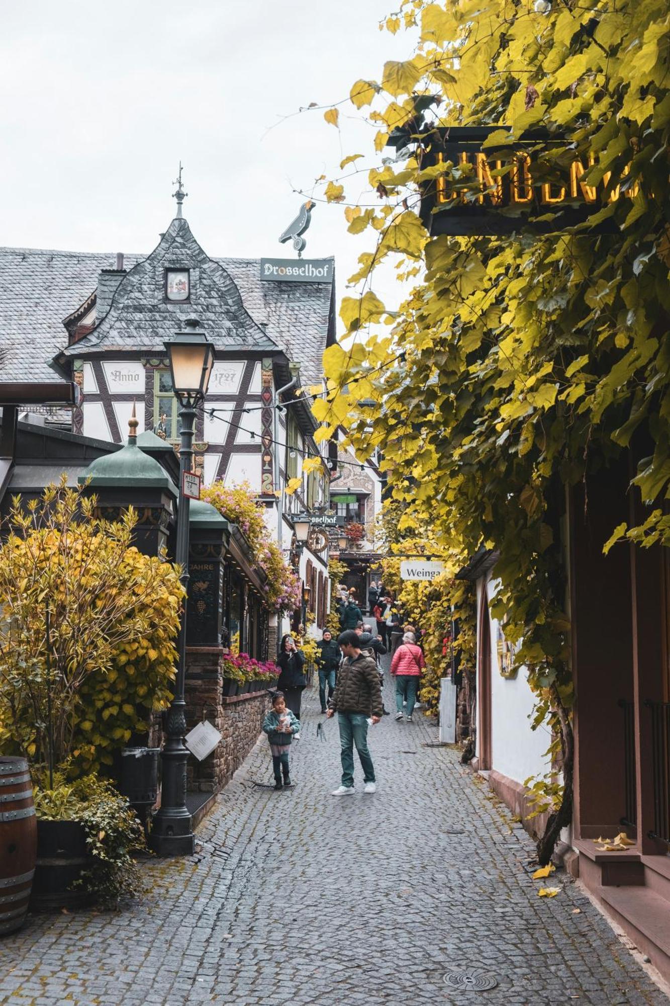 Hotel Zur Loreley - Garni Sankt Goar Eksteriør billede