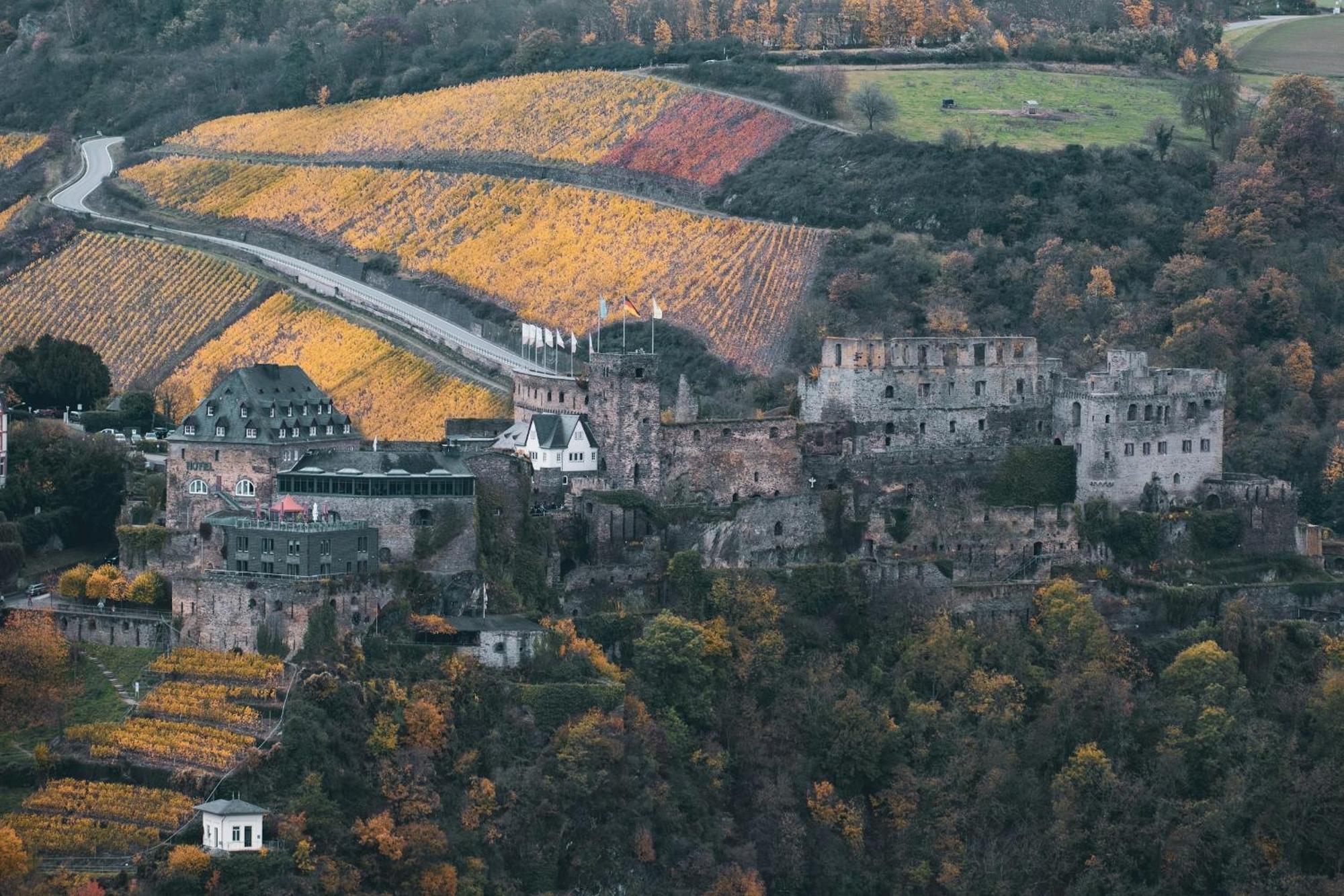 Hotel Zur Loreley - Garni Sankt Goar Eksteriør billede